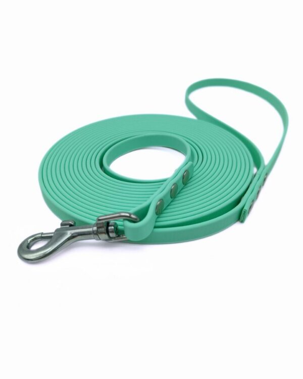 Longe Biothane 9 mm (chiens de 1 à 15 kgs)