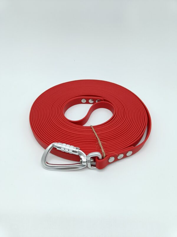 Longe Biothane 10 m Rouge en 16 mm