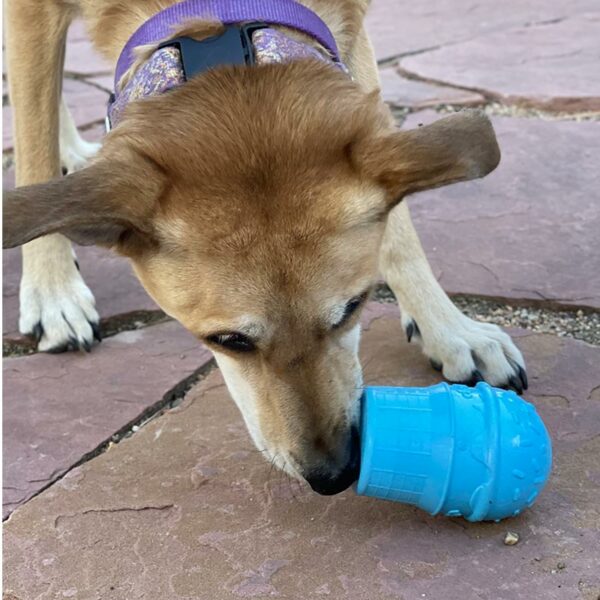 glace sodapup jouet chien