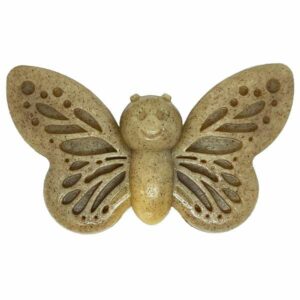 Papillon Sodapup