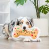 cookie testeur