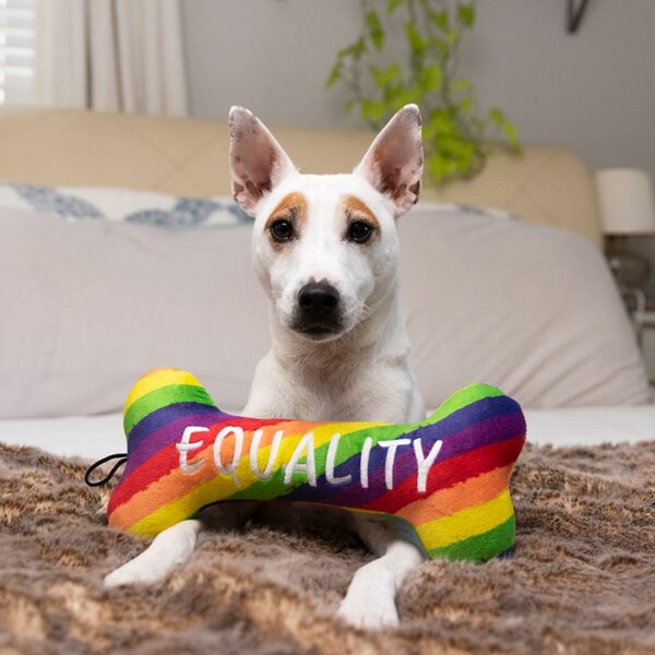 peluche pride equality chien