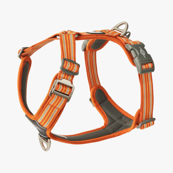 harnais dog copenhagen orange