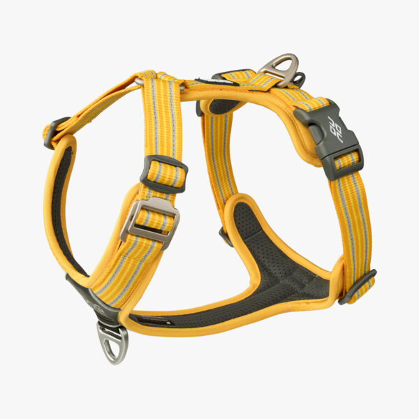harnais dog copenhagen lemon