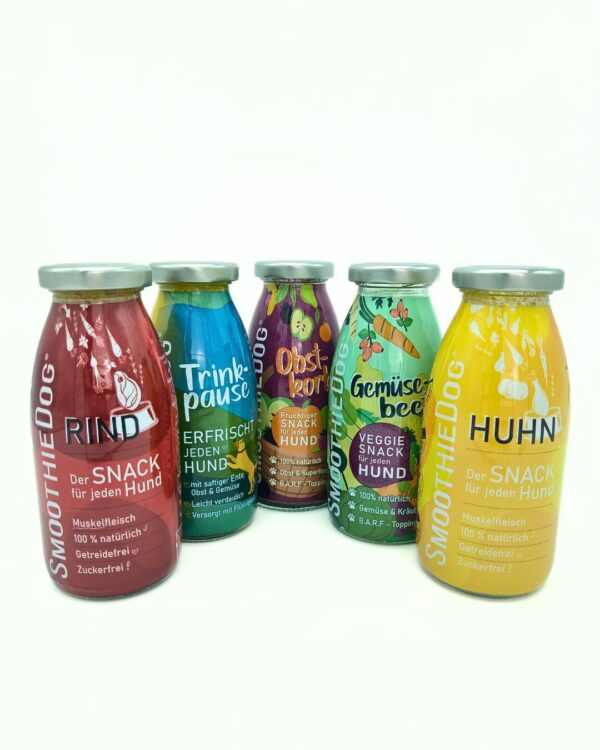 smoothies pour chien
