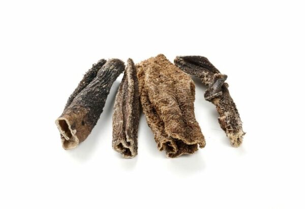 panse de bœuf pour chien