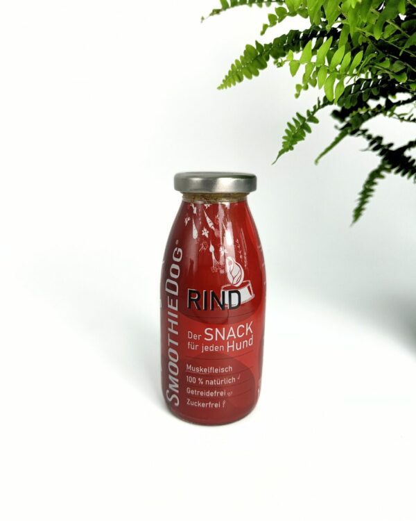 smoothie bœuf pour chien