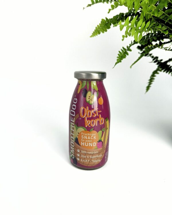 smoothie fruits pour chien