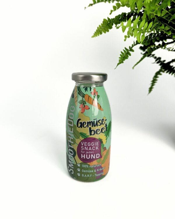 smoothie légumes pour chien
