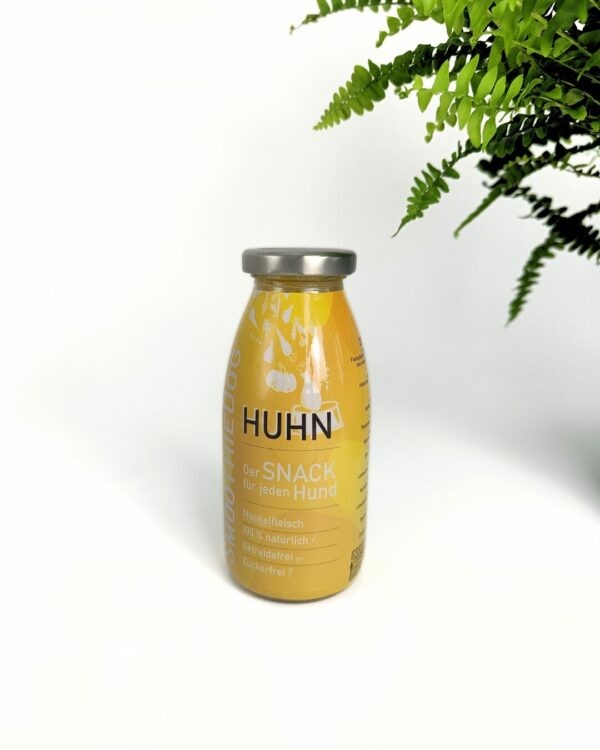 smoothie poulet pour chien