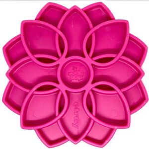 Mandala Sodapup