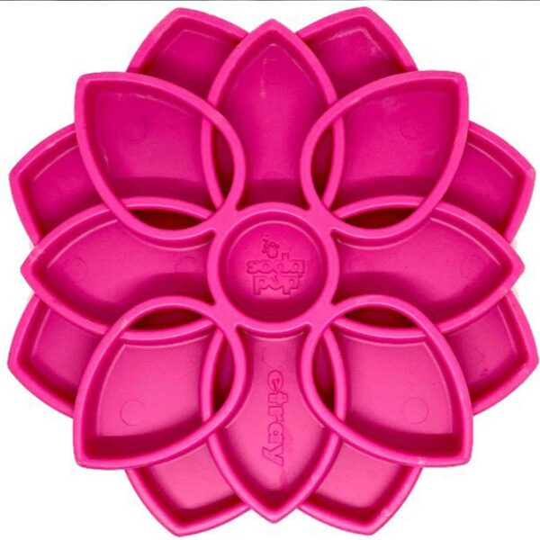mandala sodapup rose