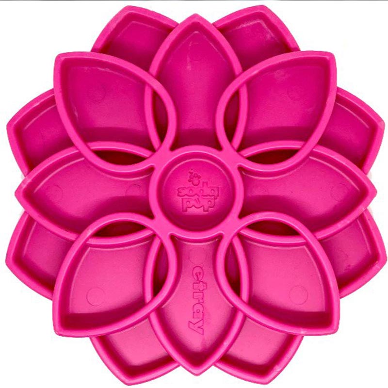 mandala sodapup rose
