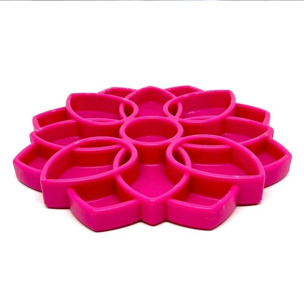 mandala sodapup rose