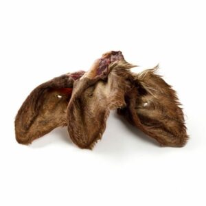 Oreilles de bœuf avec poils