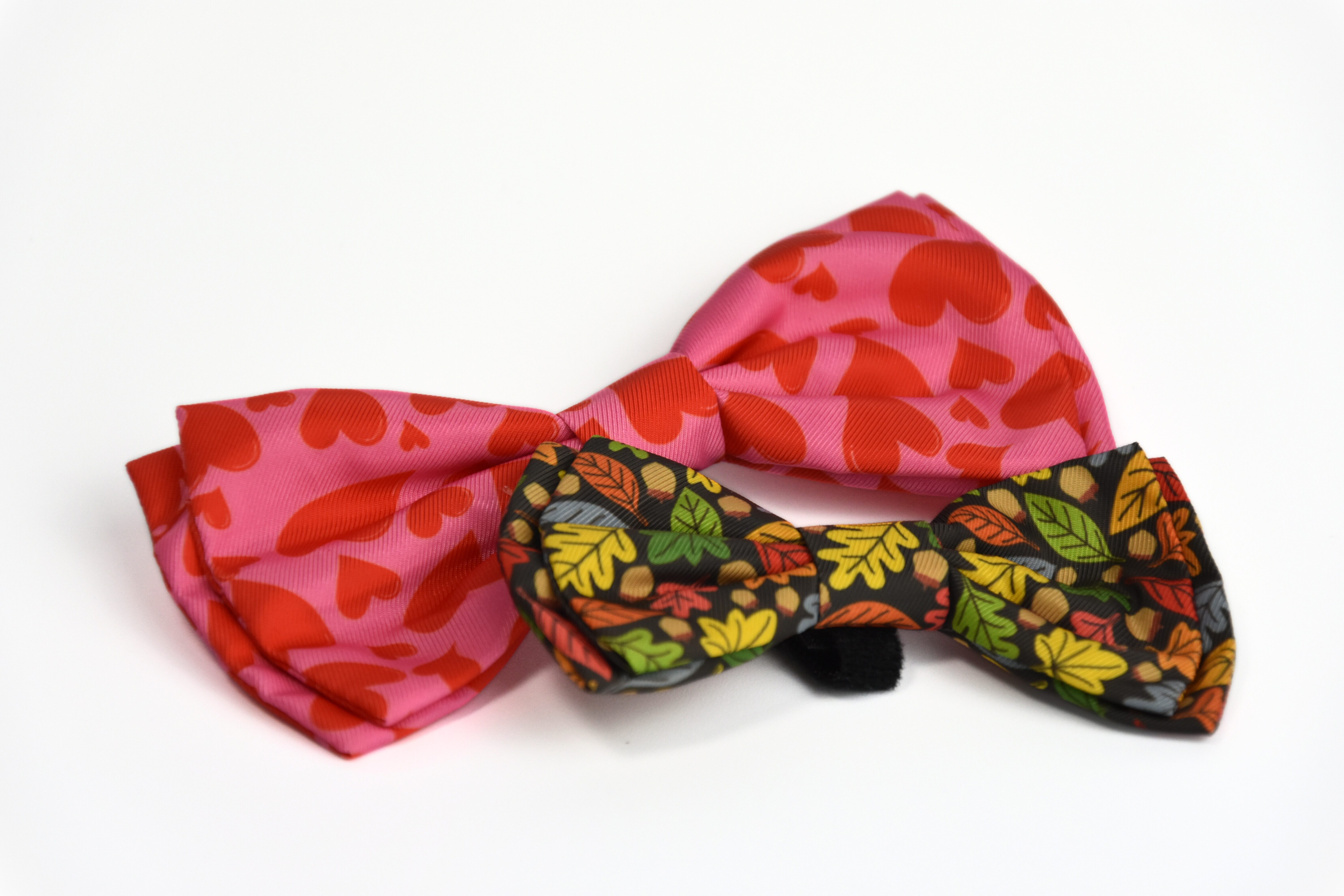 nœud papillon pour chien