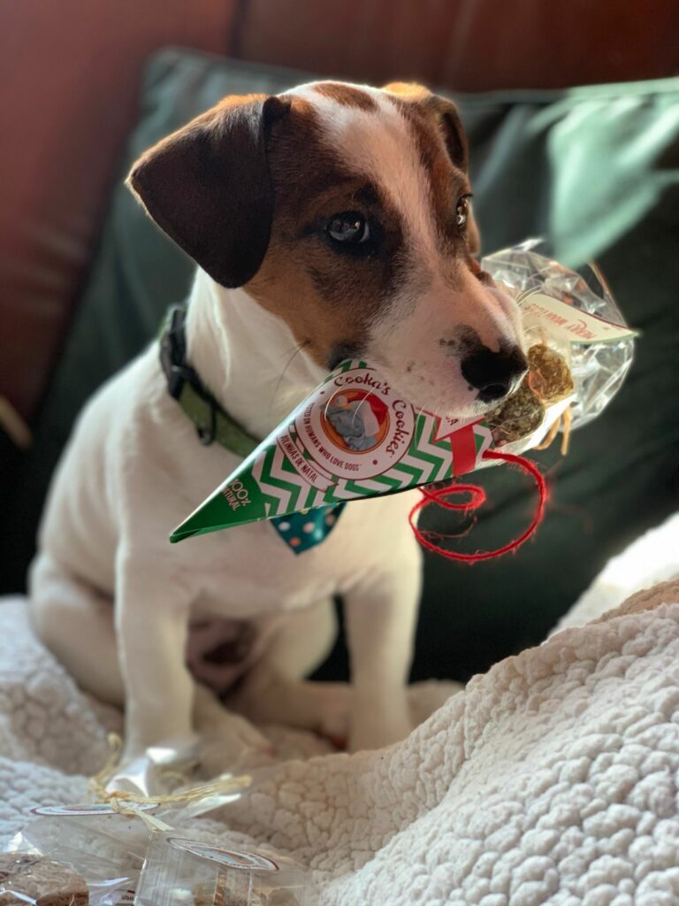 Bouchées de Noël au Bœuf – Image 2